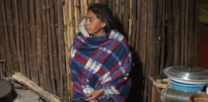 A woman poses for a portrait in her kitchen in Mexico