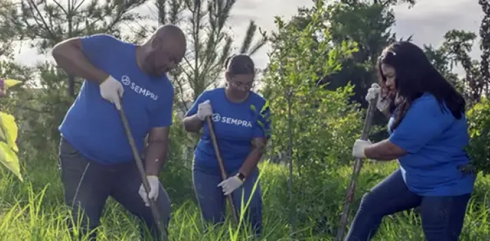 Sempra employees volunteer and plant trees