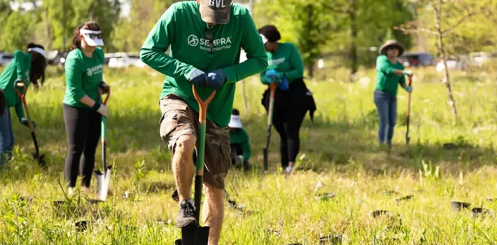 Employees volunteering and planting trees